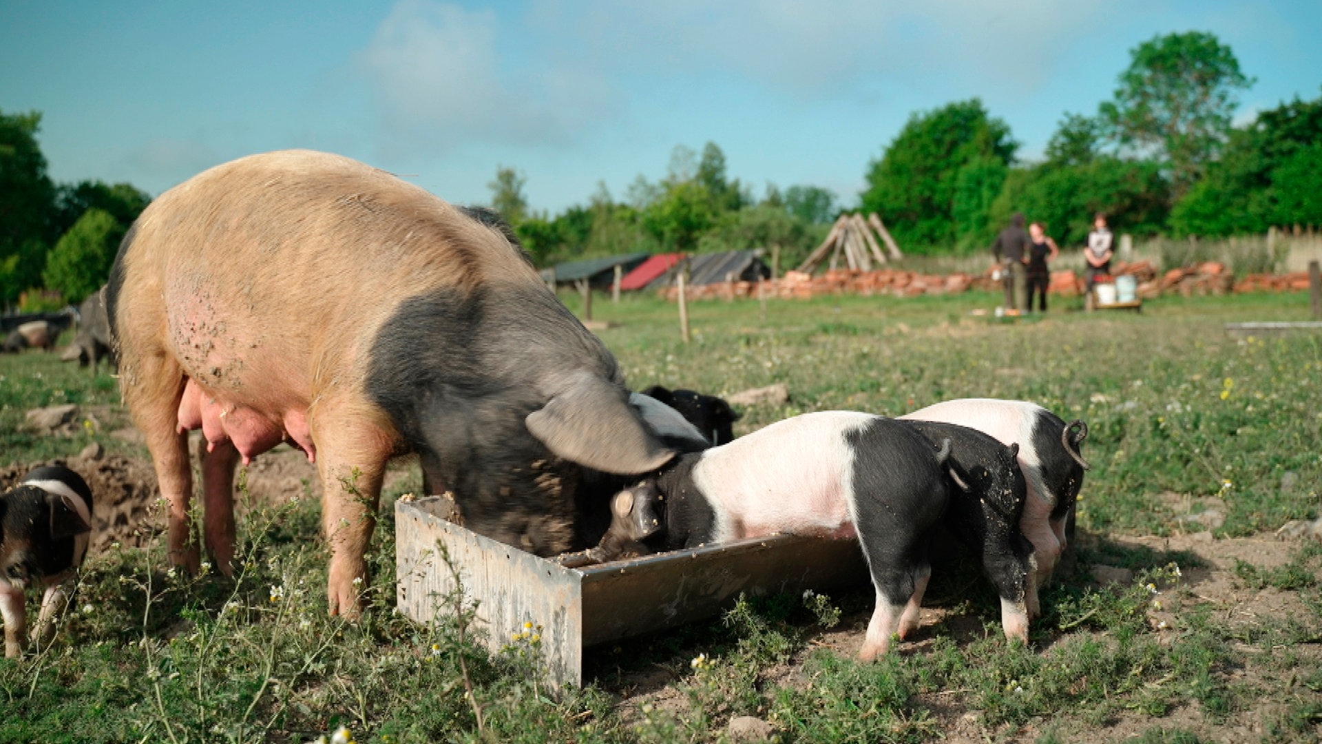 Zwei Generationen auf dem Ur-Bauernhof